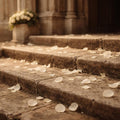 Petals on Stone — Wedding Ceremony Arrival Music | Piano & Violin | Gunther Sound